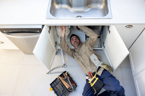 Best Commercial Plumbing Services  in Griffith, IN