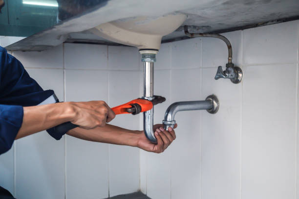 Best Clogged Drain Plumber  in Griffith, IN