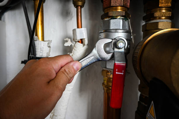 Best Sewer Line Repair  in Griffith, IN